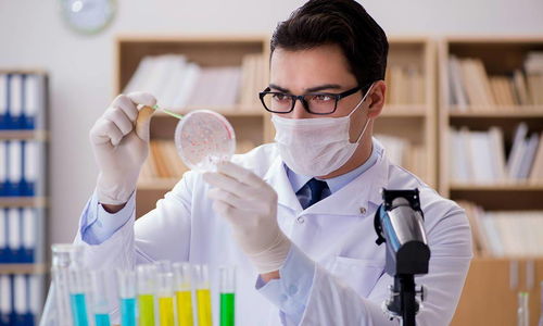 中國生物合成人乳寡糖技術(shù)領(lǐng)跑世界，恒魯生物獲華耀資本戰(zhàn)略投資助力技術(shù)推廣