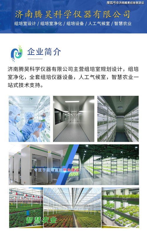 馬鈴薯組培苗與微型薯快繁技術 渭源與定西組培室的技術推廣服務