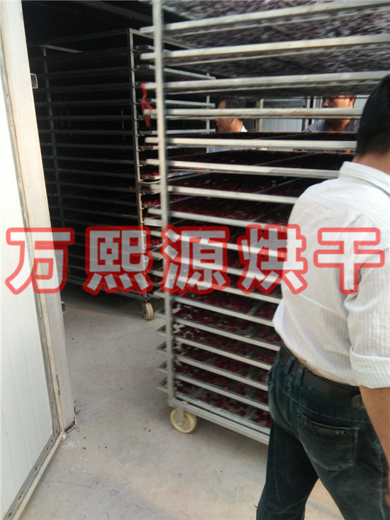 玫瑰花烘干機(jī)
