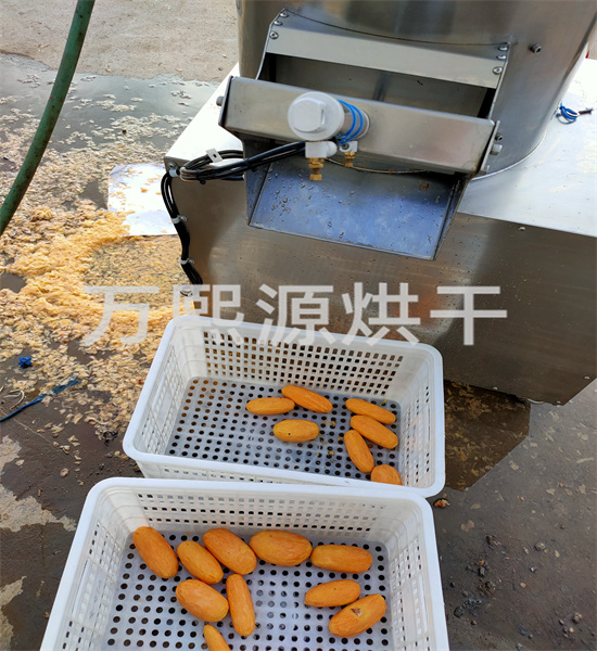 不銹鋼削皮機