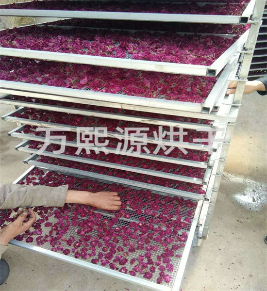 金花葵烘干機