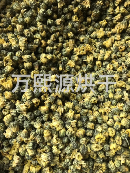 菊花烘干機