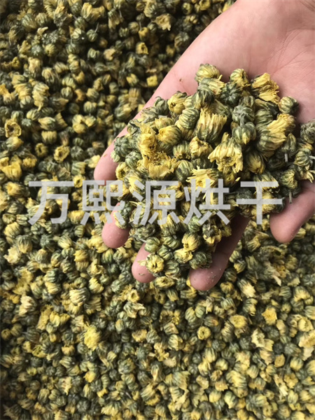 菊花烘干機